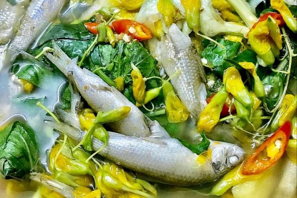 Canh cá linh bông điên điển – món ăn gây thương nhớ khi mùa lũ tới