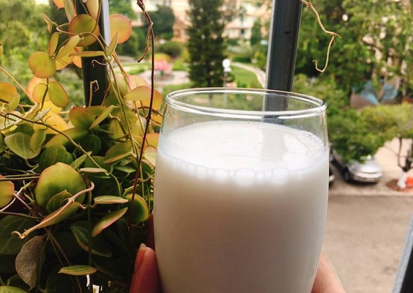 Mách mẹ cách làm sữa hạt sen bổ sung dưỡng chất cho bé yêu